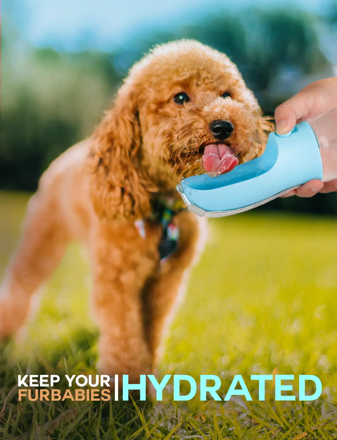 3-in-1 All-in-One Pet Travel Bottle | Water, Food Storage & Poop Bag Holder